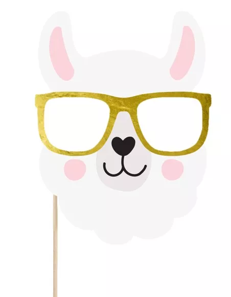 5 accessori foto Lama