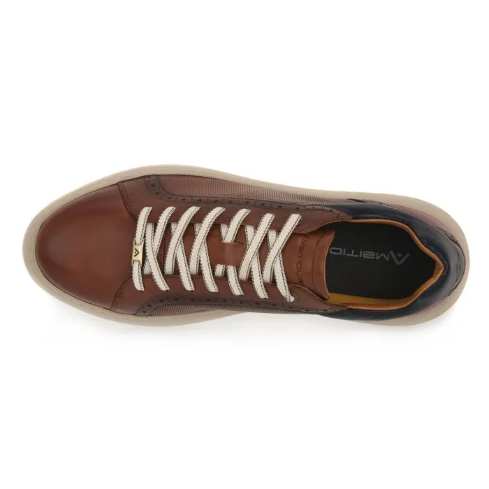 AMBITIUS  6328 ECLIPSE