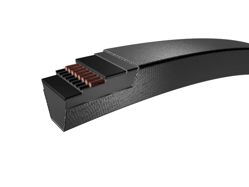 Cinghia trapezoidale SKF, sezione SPB, 1800mm x 16.3mm x 13mm