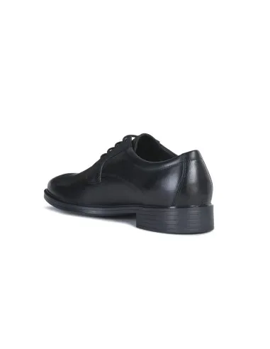 Geox U Gladwin scarpa elegante  
