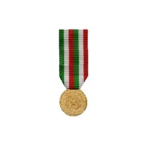 Nastrino d'oro al Merito Civile