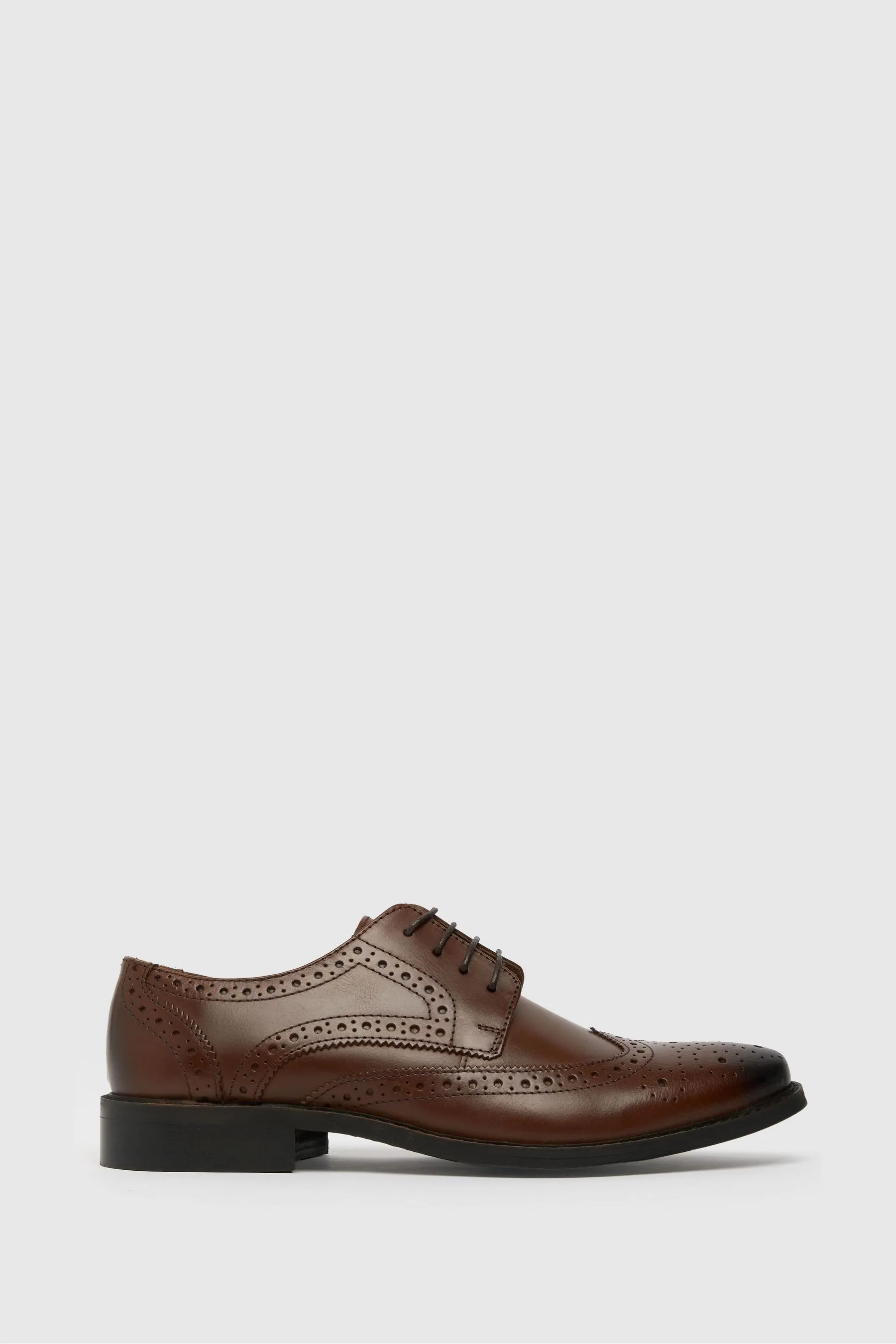 Schuh - Rowland - Marrone - Scarpe brogue in pelle