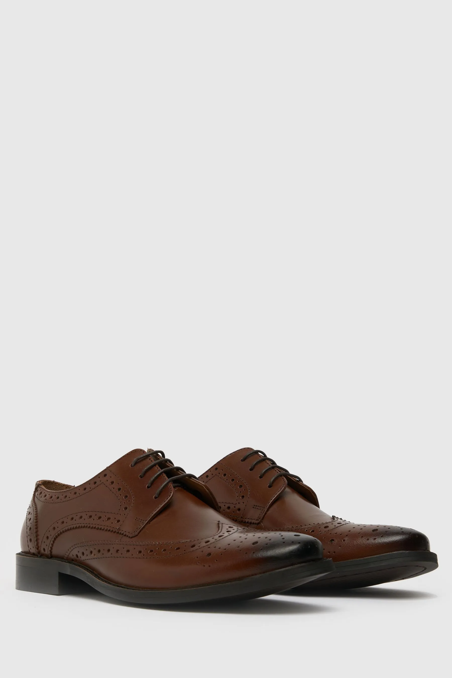 Schuh - Rowland - Marrone - Scarpe brogue in pelle