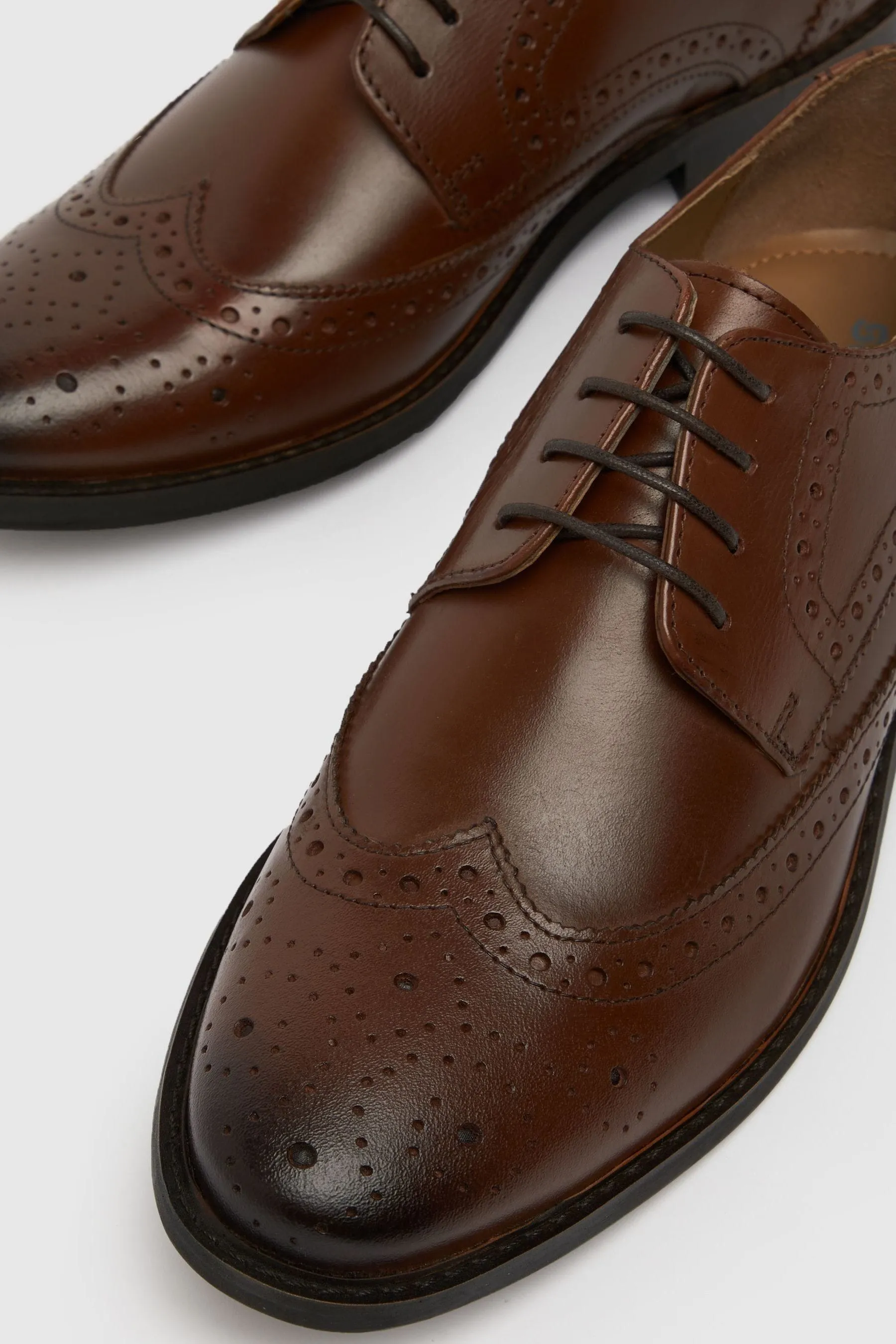 Schuh - Rowland - Marrone - Scarpe brogue in pelle